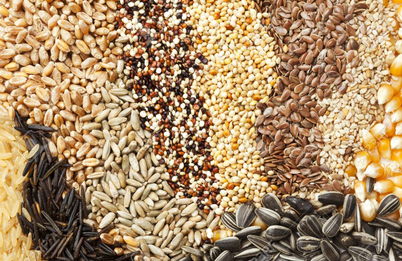 variety of grains and seeds
