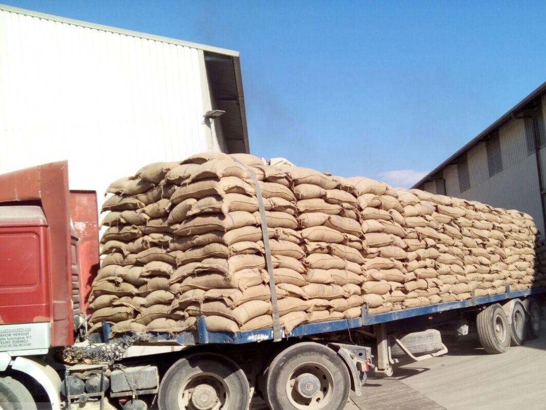 The Global Cashew Market: Insights for Nigerian Exporters