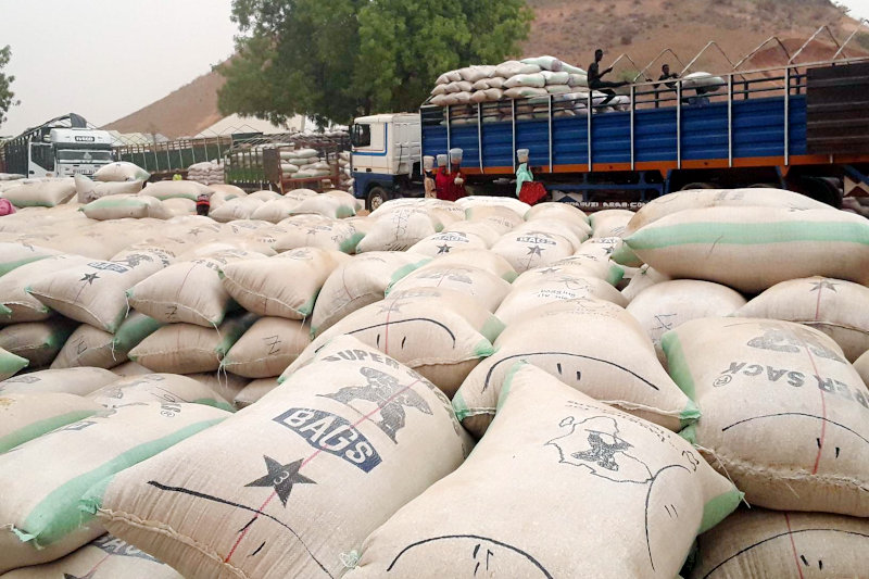 Quality Assurance in Cashew Exporting: Ensuring Premium Product Standards
