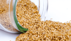 Sesame Seed