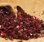 Hibiscus flower