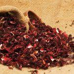 Hibiscus flower