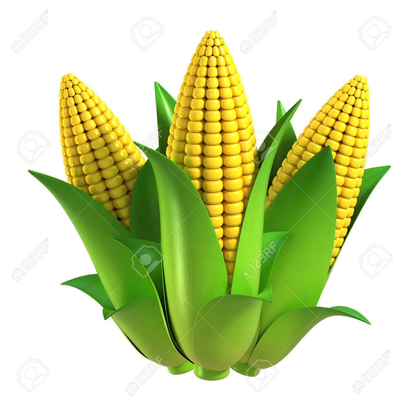 Maize: A Cornerstone of Food Security