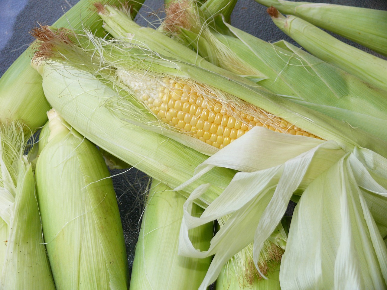 What to Know Before Exporting Maize out of Nigeria