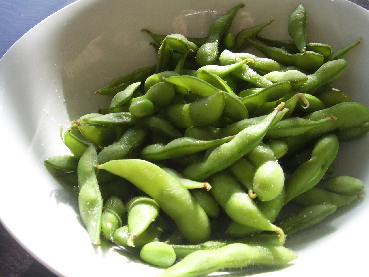 Sustainable Practices in Soya Bean Farming