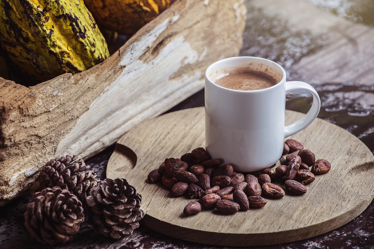 Cocoa and Sustainability: Best Practices for Sourcing in Nigeria